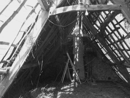 2009_0523clgbrel0003.JPG